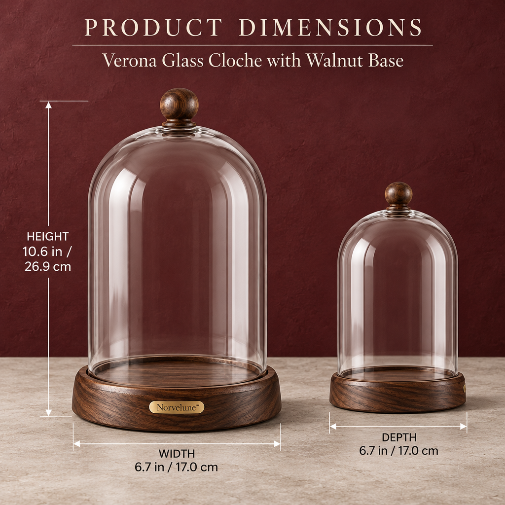 Norvelune Verona Wood & Glass Cloche product dimensions